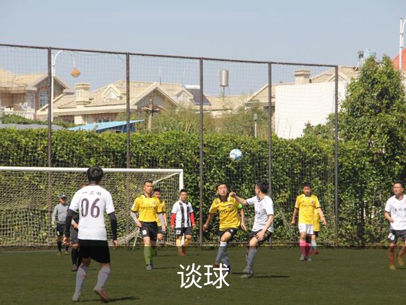 谈球简介